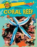 At Home in a Coral Reef