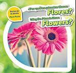 Por Que Las Plantas Tienen Flores? / Why Do Plants Have Flowers?