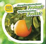Por Que Las Plantas Tienen Frutas? / Why Do Plants Have Fruits?