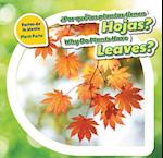 Por Que Las Plantas Tienen Hojas? / Why Do Plants Have Leaves?