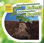Por Que Las Plantas Tienen Raices? / Why Do Plants Have Roots?