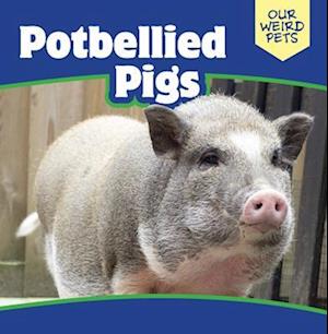 Potbellied Pigs