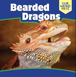 Bearded Dragons