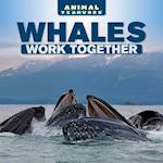 Whales Work Together