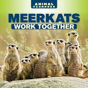 Meerkats Work Together