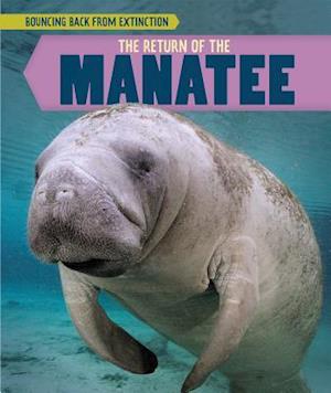 The Return of the Manatee