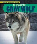 The Return of the Gray Wolf