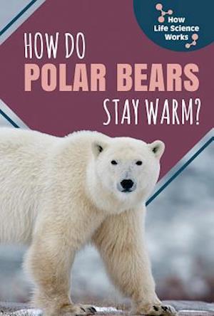 How Do Polar Bears Stay Warm?