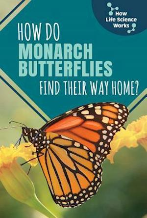 How Do Monarch Butterflies Find Their Way Home?