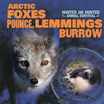 Arctic Foxes Pounce, Lemmings Burrow