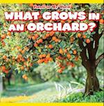 What Grows in an Orchard?