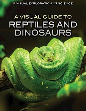 A Visual Guide to Reptiles and Dinosaurs