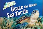 Grace the Green Sea Turtle