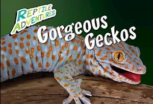 Gorgeous Geckos