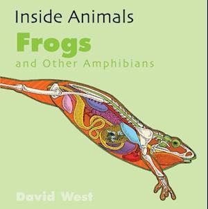 Frogs and Other Amphibians