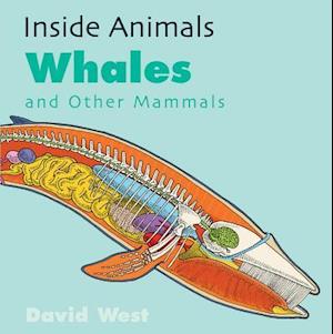 Whales and Other Mammals