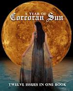 A Year of Corcoran Sun