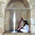 Wandering in Jerusalem