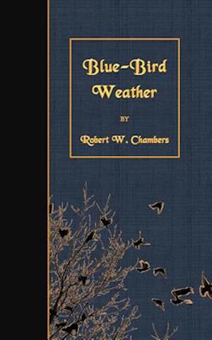 Blue-Bird Weather