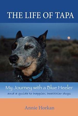The Life of Tapa: My Journey with a Blue Heeler