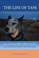 The Life of Tapa: My Journey with a Blue Heeler 