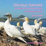 Glorious Gannets, the Bass Rock and North Berwick