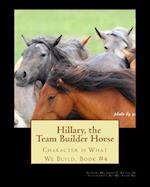 Hillary the Team Builder Horse