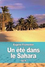 Un Été Dans Le Sahara