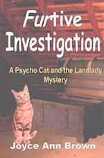 Furtive Investigation