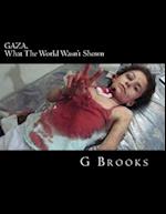 Gaza, What the World Wasn't Shown