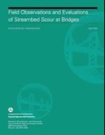 Field Observations and Evaluations of Streambed Scour at Bridges