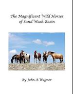 The Magnificent Wild Mustangs of Sand Wash Basin