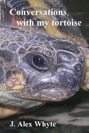 Conversations with my tortoise