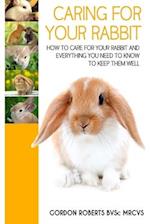 Caring For Your Rabbit