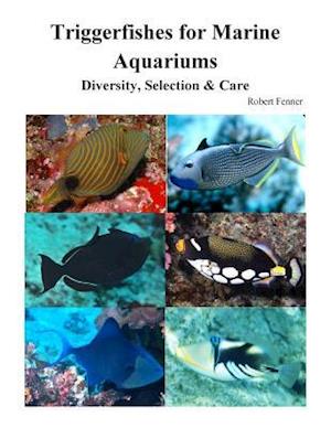 Triggerfishes for Marine Aquariums