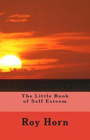 The Little Book of Self Esteem