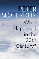 What Happened in the Twentieth Century?