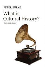 What is Cultural History? 3e