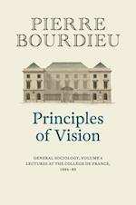 Principles of Vision: General Sociology, Volume 4 Cloth