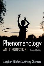 Phenomenology – An Introduction