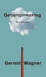 Geoengineering – The Gamble