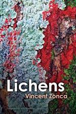 Lichens – Toward a Minimal Resistance