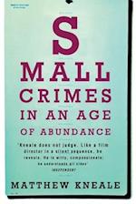 Small Crimes in an Age of Abundance