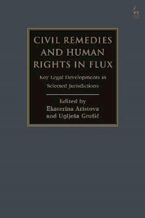 Civil Remedies and Human Rights in Flux