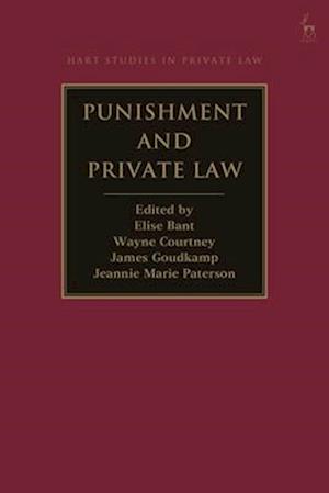 Punishment and Private Law