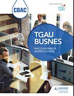 CBAC TGAU Busnes (WJEC GCSE Business Welsh-language edition)