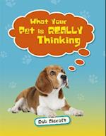 Reading Planet KS2 - What Your Pet is REALLY Thinking - Level 2: Mercury/Brown band