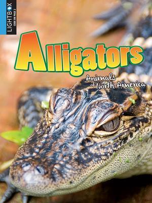 Alligators