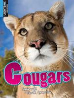 Cougars