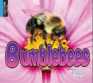 Bumblebees